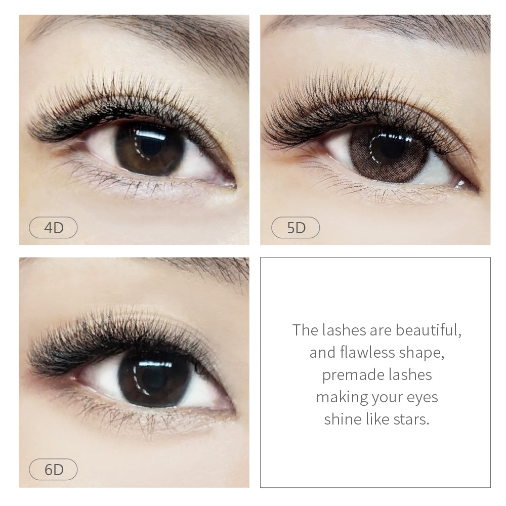 6D Soft Clover Lashes | Premade